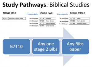 Biblical Studies | Good Shepherd Theological College